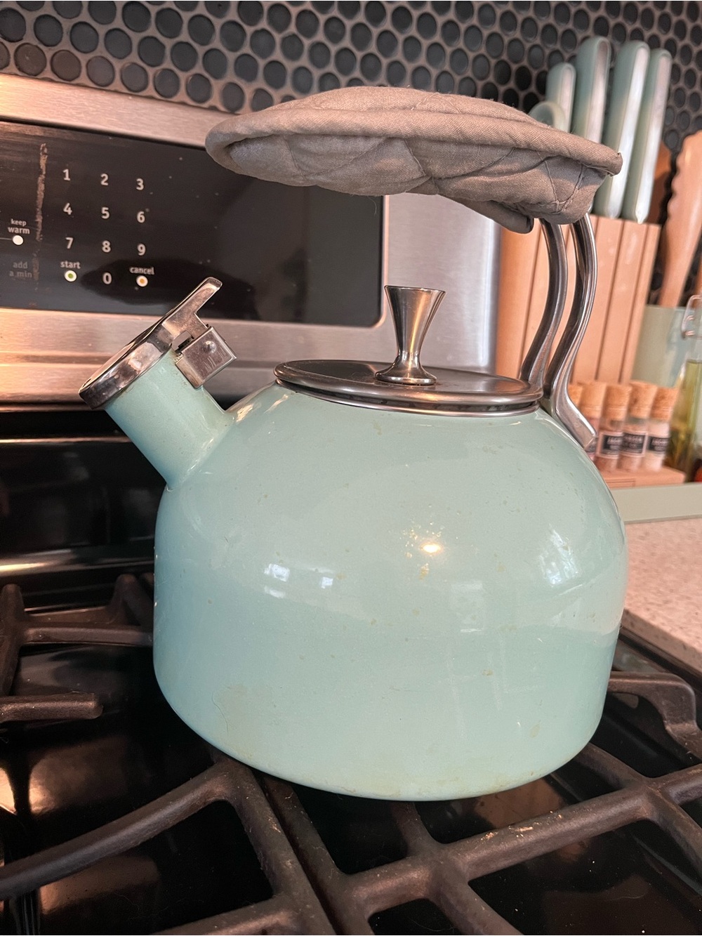 Kate Spade Stainless Steel Whistling Tea Kettle